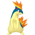 Pokémon #156 defaut