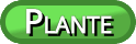 Type plante
