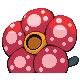 Rafflesia femelle dans Diamant et Perle
