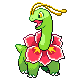 Meganium