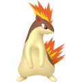 Pokémon #156