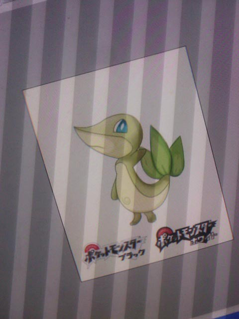 pokemon noir et blanc rencontre aléatoire