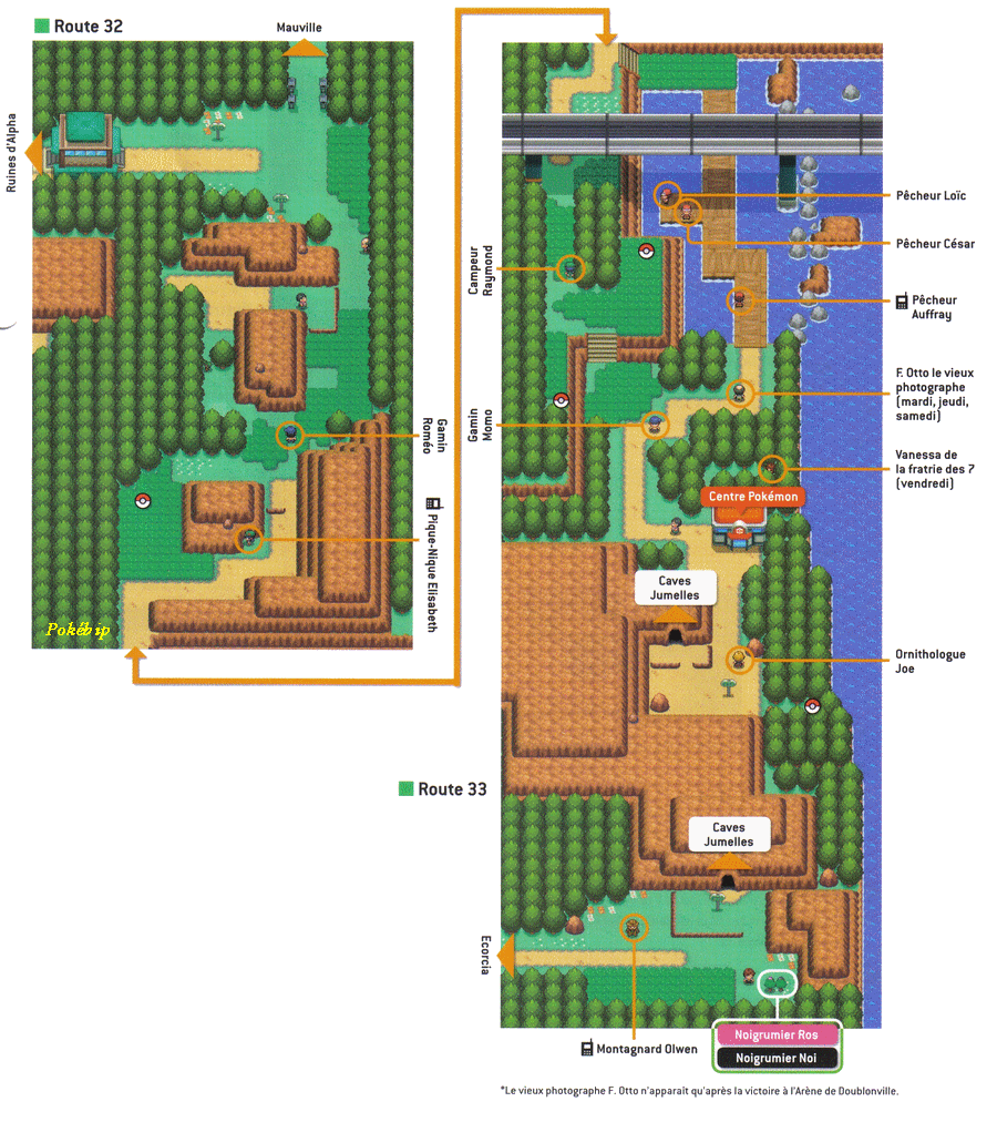 Pokémon Or Heartgold et Argent Soulsilver > Guide complet de Johto et 