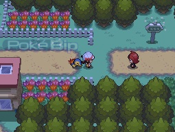 rencontre avec suicune pokemon soul silver