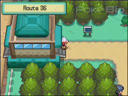 rencontre avec suicune pokemon soul silver