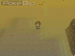 dans pokemon noir 2 comment avoir une pierre feu