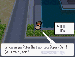 comment avoir 2 master ball dans pokemon noir