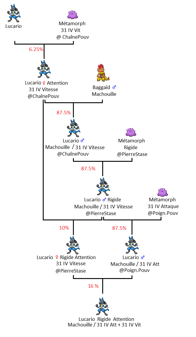 pokemon noir 2 comment avoir un oeuf