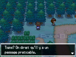 pokemon noir 2 comment avoir des master ball