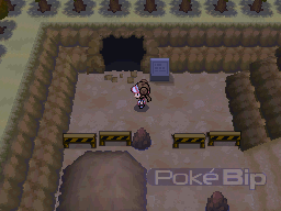 comment avoir force dans pokemon noir