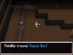 pokemon x comment avoir une peau metal