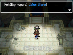 rencontre pokemon noir