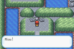 pokemon noir 2 comment avoir plusieurs master ball