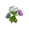Roserade femelle shiny dans Noire et Blanche