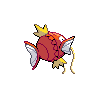 Magicarpe mâle dans Noire et Blanche