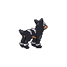 Pokédex d'Alison Guevara 228