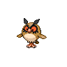 Hoothoot femelle dans Noire et Blanche