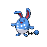 Azumarill femelle dans Noire et Blanche