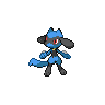 Riolu femelle dans Noire et Blanche