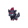 Zorua femelle dans Noire et Blanche