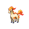 Ponyta femelle dans Noire et Blanche