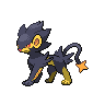 Luxray femelle shiny dans Noire et Blanche