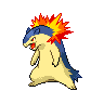 Typhlosion mâle dans Noire et Blanche