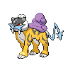 Raikou dans Noire et Blanche