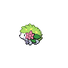 Shaymin dans Noire et Blanche