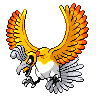 Ho-oh shiny dans Noire et Blanche