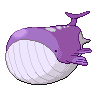 Wailord mâle shiny dans Noire et Blanche