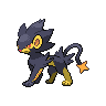 Luxray mâle shiny dans Noire et Blanche