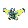 Papilord shiny dans Noire et Blanche