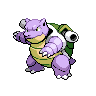 Tortank mâle shiny dans Noire et Blanche