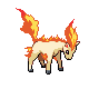 Ponyta mâle dans Diamant et Perle