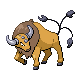 Tauros