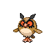 Hoothoot