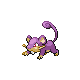 Rattata