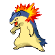 Typhlosion mâle dans Platine