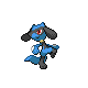 Riolu mâle dans Platine