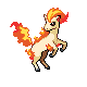 Ponyta mâle dans Platine