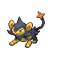 Luxio mâle shiny dans Platine