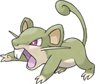 Rattata shiny