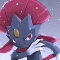 Avatar du membre