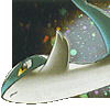 Avatar du membre