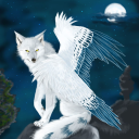 Avatar du membre