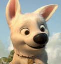 Avatar du membre