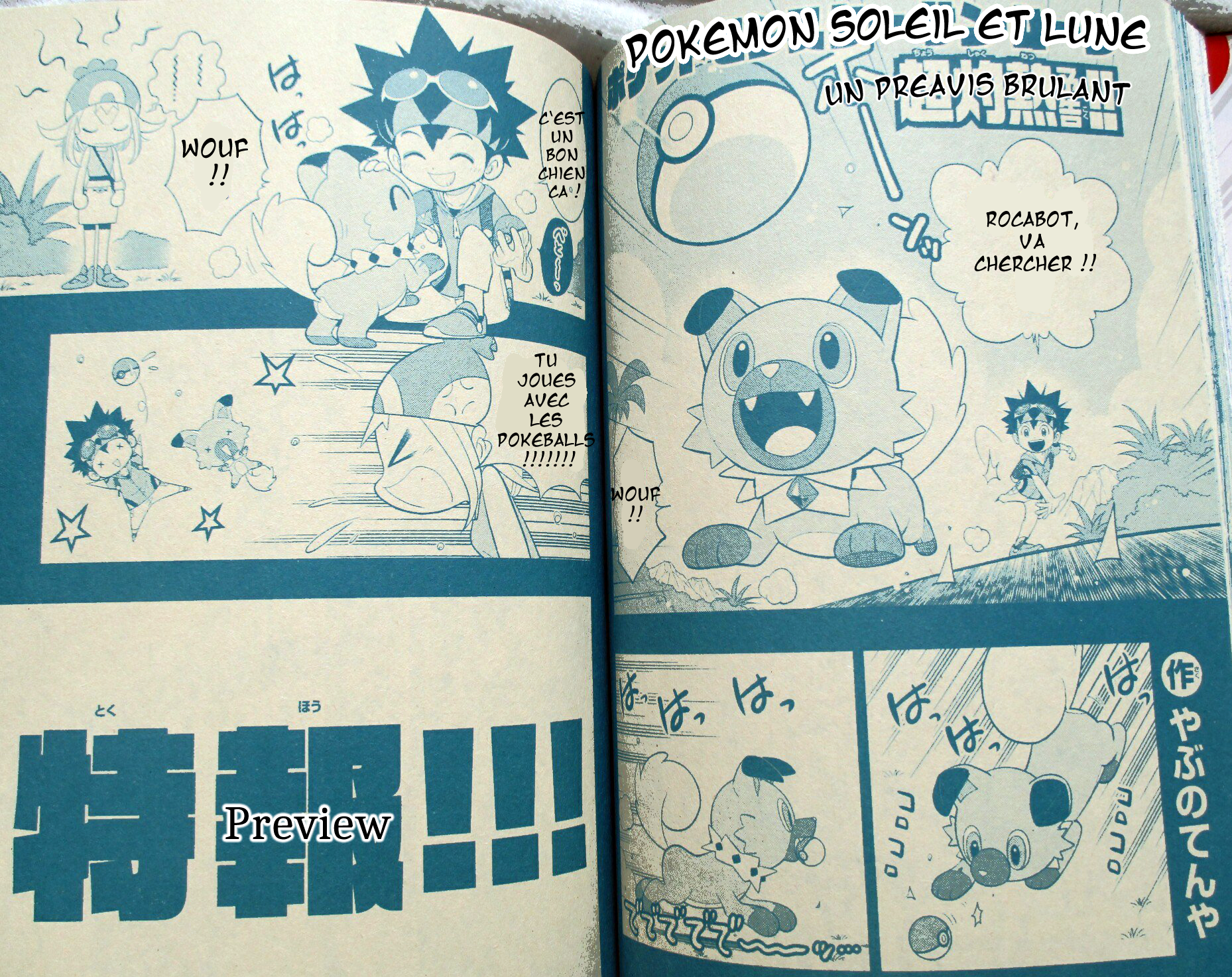 Un Manga Pokémon Lune/Soleil ! 489
