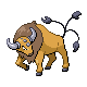 Tauros