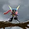 Avatar de Amphinobi le Ninja